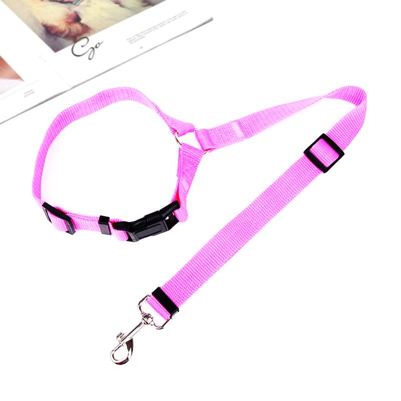 DogCatFri™ CarLeash 1+1 GRATIS: Verstelbaar Veiligheid Huisdier Autostoel Lijn
