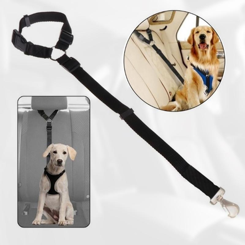 DogCatFri™ CarLeash 1+1 GRATIS: Verstelbaar Veiligheid Huisdier Autostoel Lijn