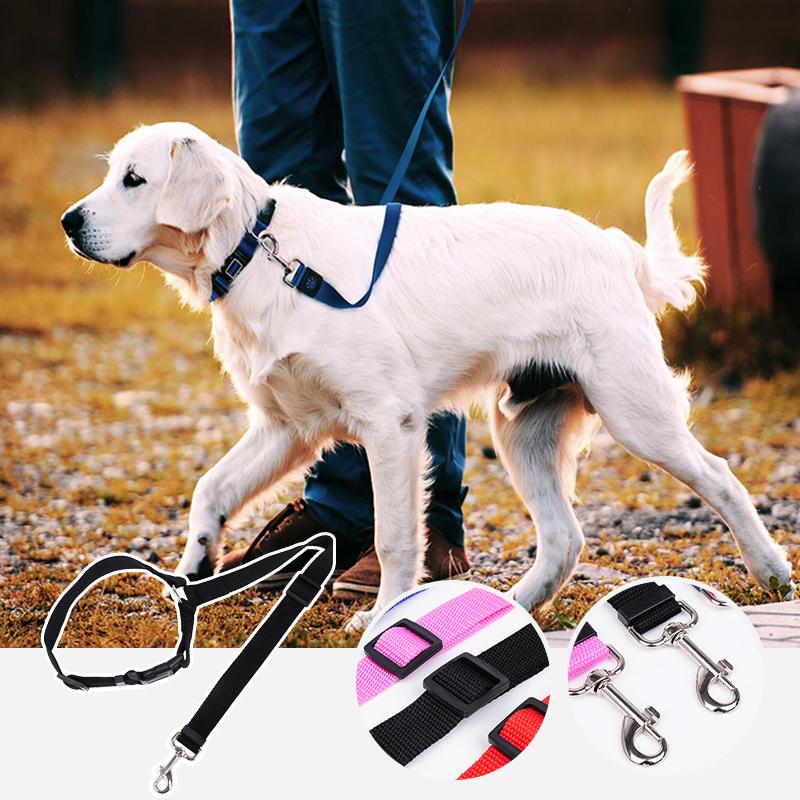 DogCatFri™ CarLeash 1+1 GRATIS: Verstelbaar Veiligheid Huisdier Autostoel Lijn