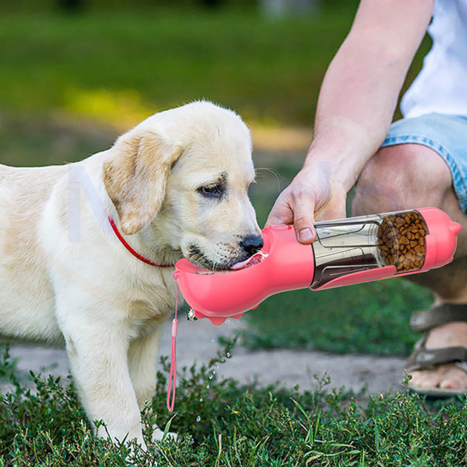 Furry Feeder™ | De 5 in 1 waterfles voor jouw hond!