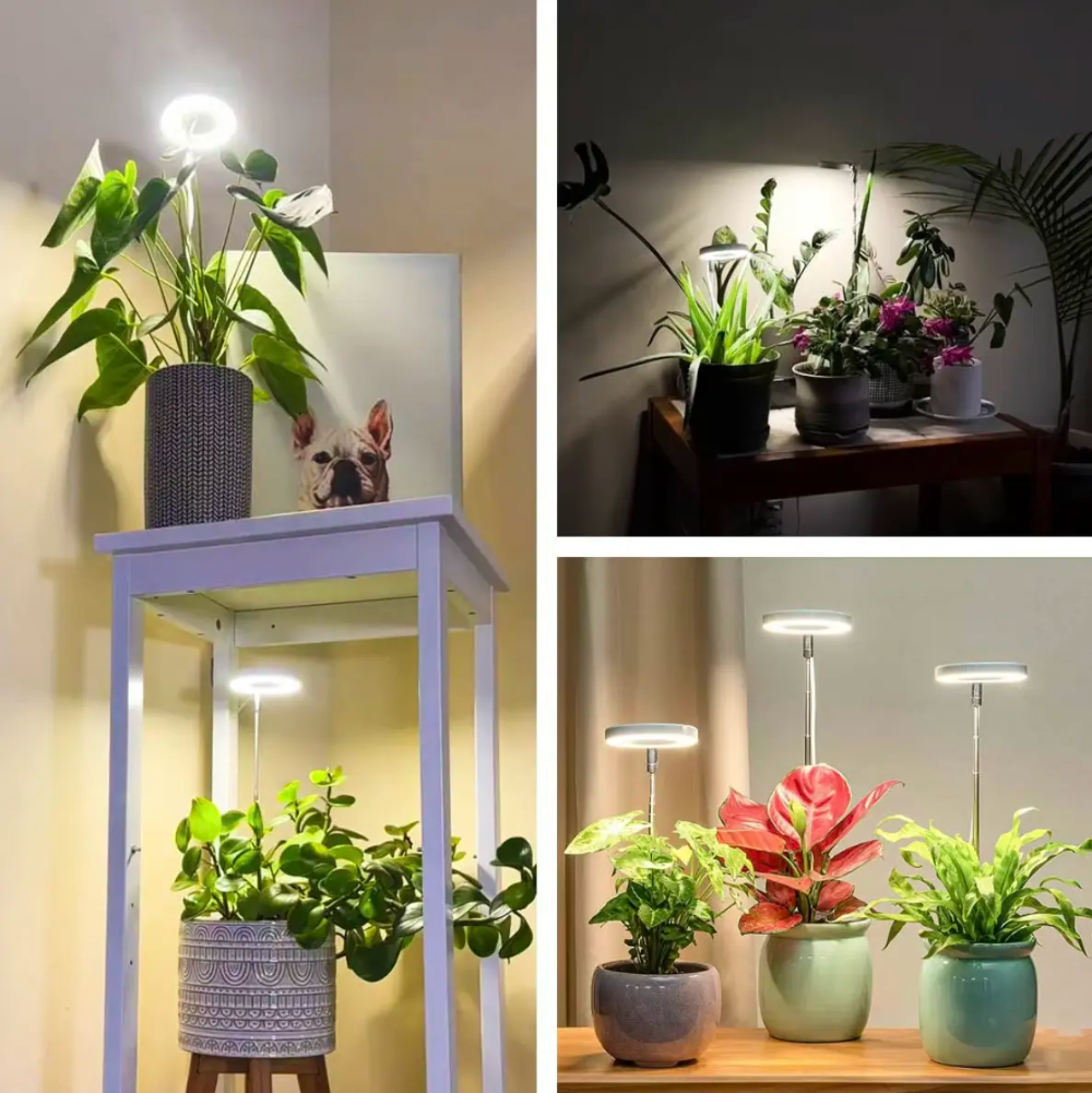 Ledsen™ PlantLamp: Verstelbaar Binnen LED Groeilamp Plant Lamp
